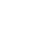 CUTIE DE VITEZE SEAT