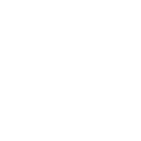 CUTIE DE VITEZE SKODA